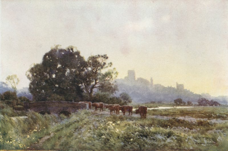 Dorchester from the Meadows (färg litho) av Ernest William Haslehust