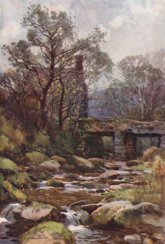Ockery Bridge, nära Princetown (färg litho) av Ernest William Haslehust