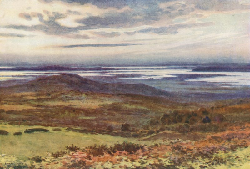 swedish av Ernest William Haslehust