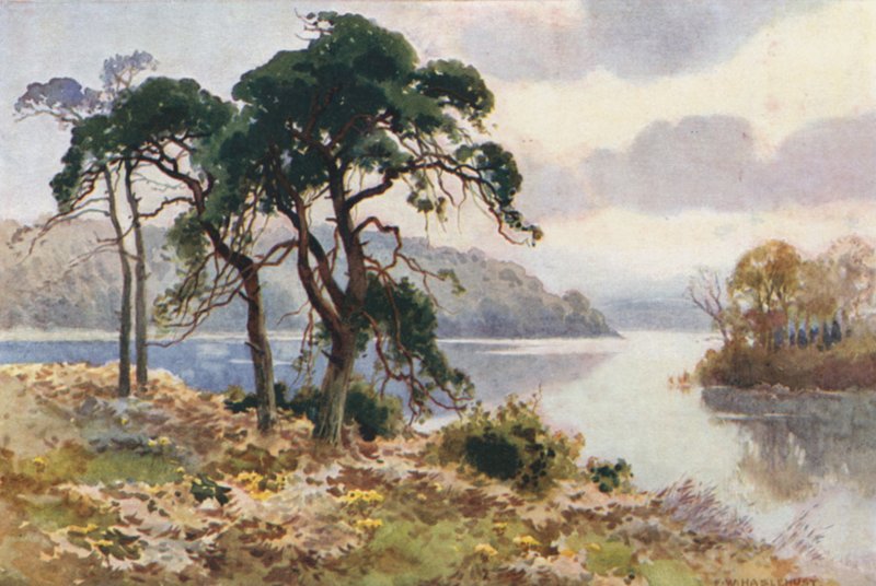 Virginia Water (färg litho) av Ernest William Haslehust