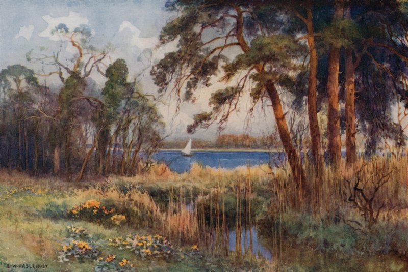 Wroxham Broad, tidig vår (färg litho) av Ernest William Haslehust