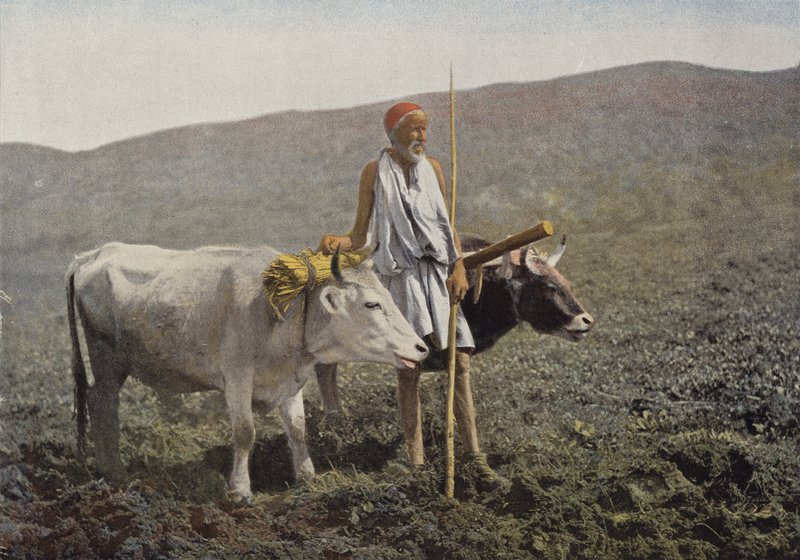 Kabyle koppling av European Photographer
