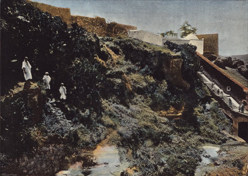 Oued-Toudmans ravin, en mascara av European Photographer