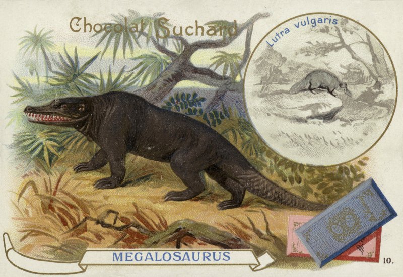 Megalosaurus och utter av European School