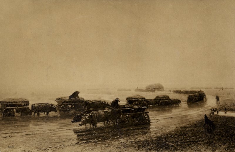 Oxvagnsbana i Mariupol, 1875 av European School