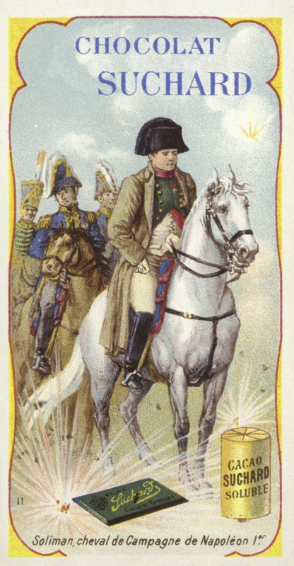 Soliman, Napoleons krigshäst av European School