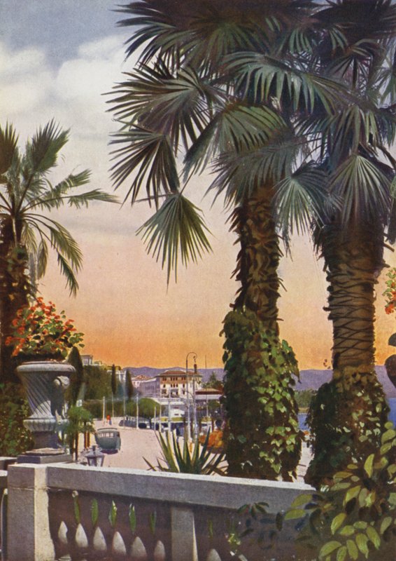Opatija, nu Opatija i Kroatien: Utsikt över palmer från Hotel Bellevue (foto) av European Photographer