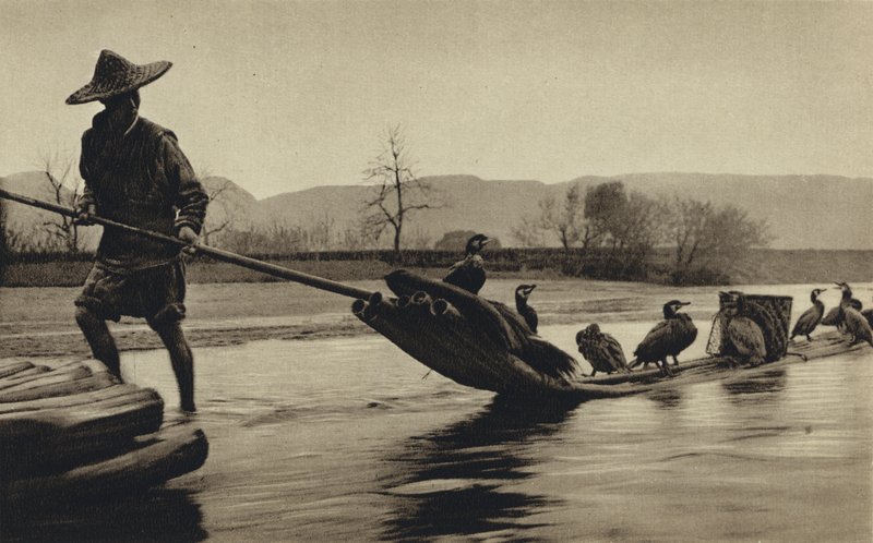 Kina, fiske efter skarvar (s/v foto) av European Photographer
