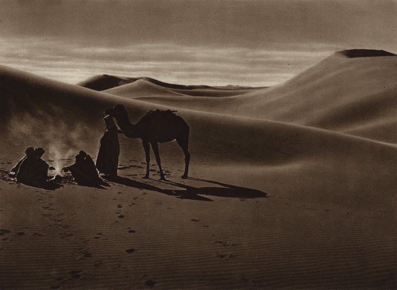 Kväll i öknen (svartvitt foto) av European Photographer