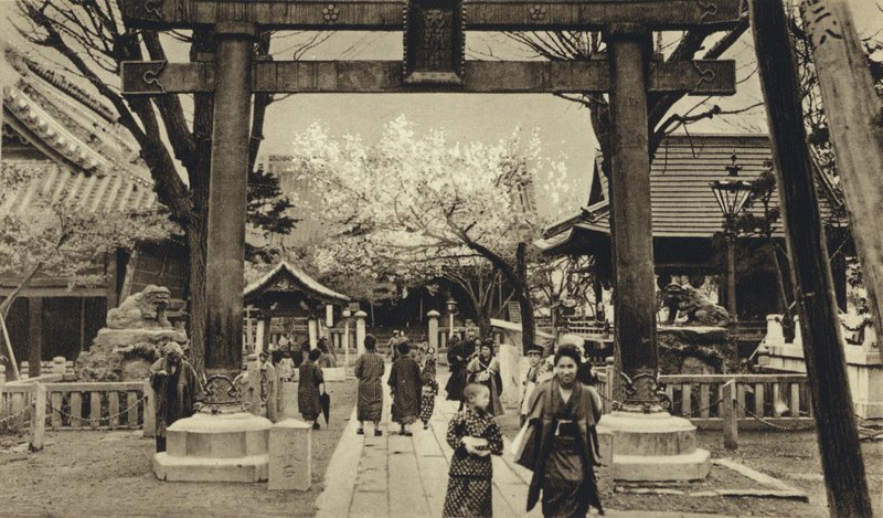 Japan, gata i Tokyo, tid för körsbärsblomning (s/v foto) av European Photographer