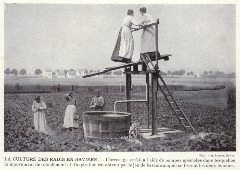Rädiskulturen i Bayern (s/v foto) av European Photographer