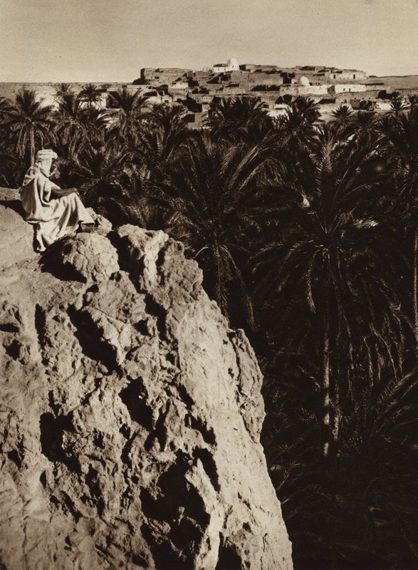 Nefta Oasis (svartvitt foto) av European Photographer