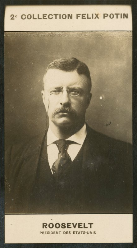Theodore Roosevelt, USA:s president av European Photographer