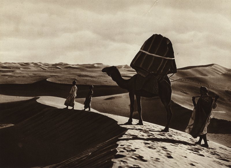 Transport av kvinnor genom Sahara (svartvitt foto) av European Photographer