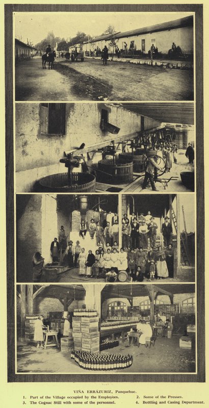 Vina Errazuriz vingård, Panquehue, Chile (s/v foto) av European Photographer