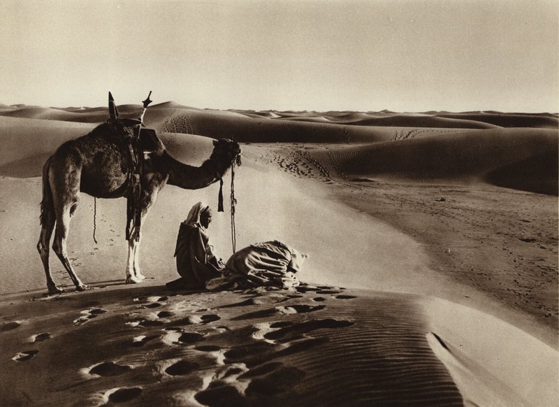 Tillbedjan i öknen (s/v foto) av European Photographer