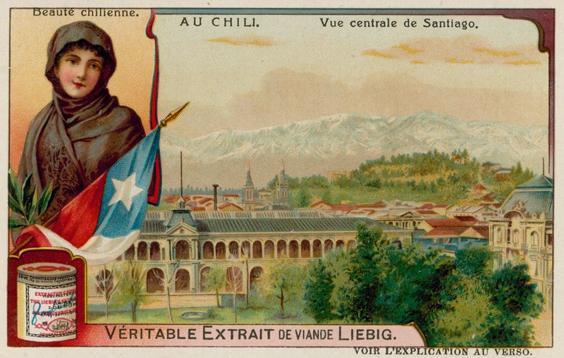 En chilensk skönhet och utsikt över centrala Santiago av European School