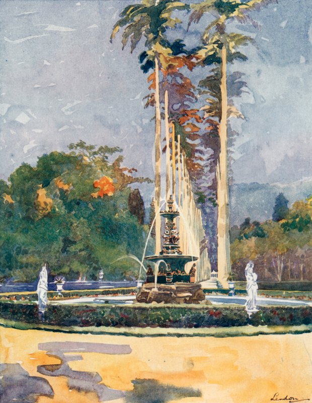 En del av Avenue of Royal Palms, Botaniska trädgården (färglitografi) av European School
