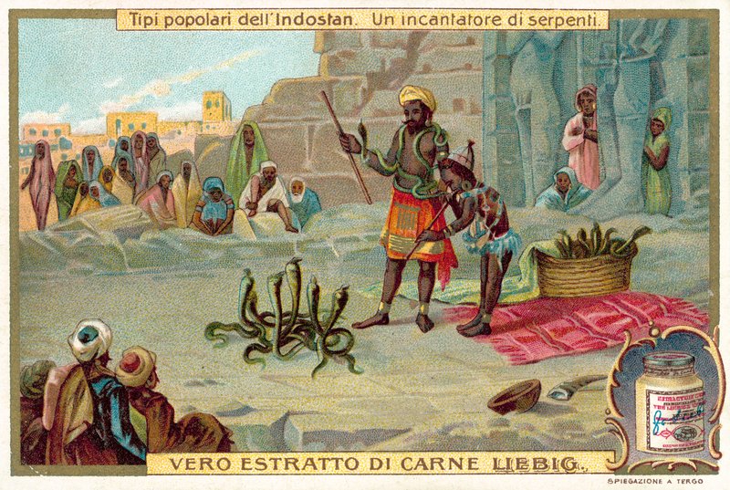 En ormtjusare (chromolitho) av European School