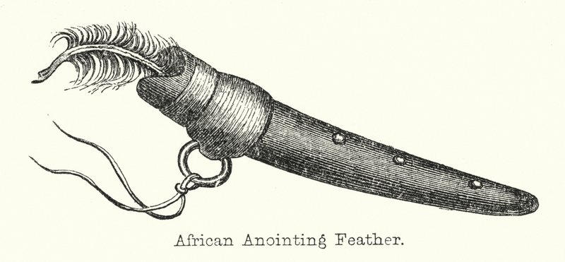 Afrikansk smörjningsfjäder (gravyr) av European School