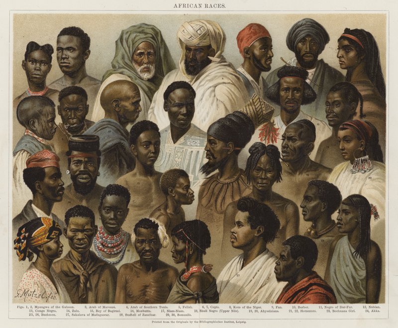 Afrikanska raser av European School