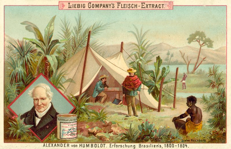 Alexander von Humboldts expedition till Sydamerika, 1800-1804 av European School
