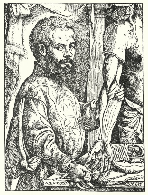 Andreas Vesalius (gravyr) av European School
