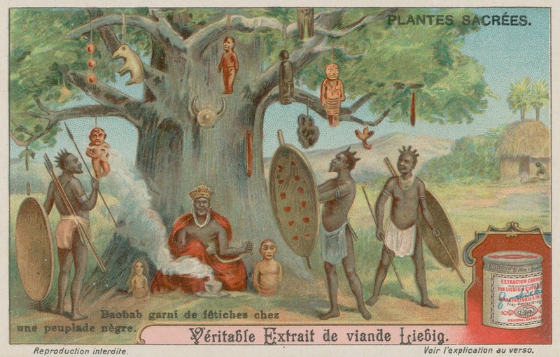Baobabträd hängt med fetischer av en afrikansk stam av European School