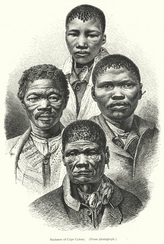 Bushmen från Kapkolonin (gravyr) av European School