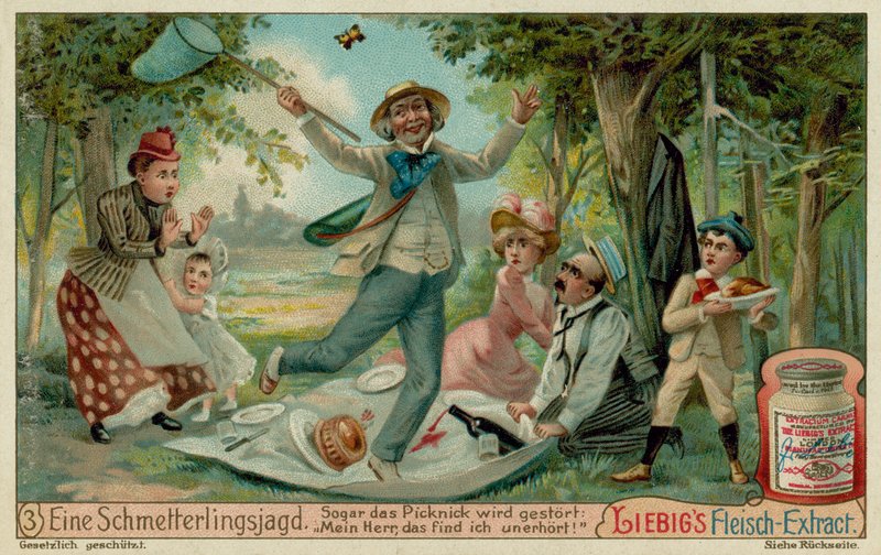 Fjärilsjakt och picknick av European School