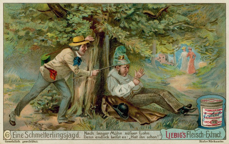 Fjärilsjakt och en sovhytt av European School