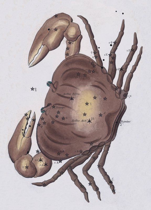 Cancer (färg litho) av European School