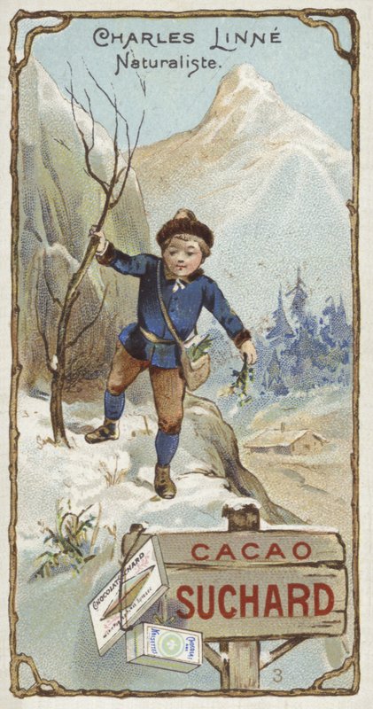 Carl Linnaeus, svensk botaniker och zoolog, som barn av European School