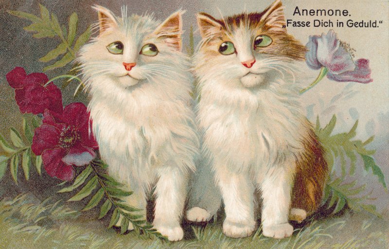 Vykort med katt (färglitografi) av European School