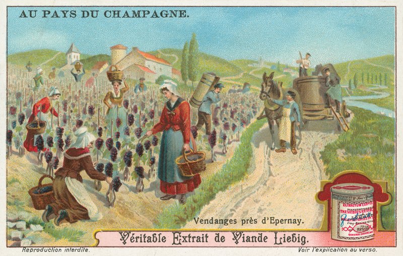 Champagne, Liebig-kort, början av 1900-talet (chromo) av European School