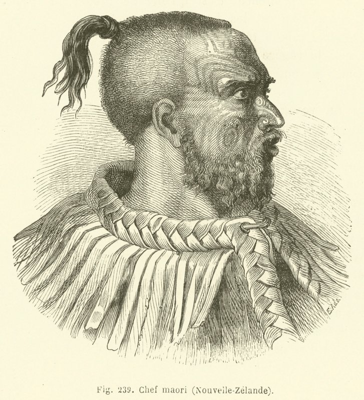 Maorihövding, Nya Zeeland (gravyr) av European School