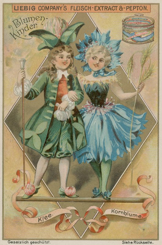 Klöver och blåklint av European School
