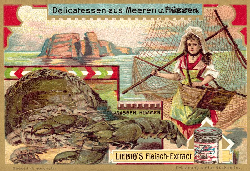 Krabba och hummer (chromolitho) av European School