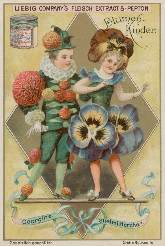 Dahlia och Pansy av European School
