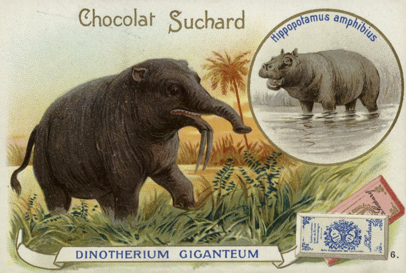 Deinotherium Giganteum och flodhäst av European School