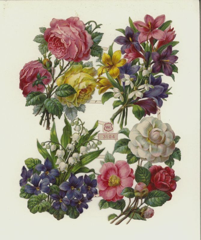 Blommor (chromolitho) av European School