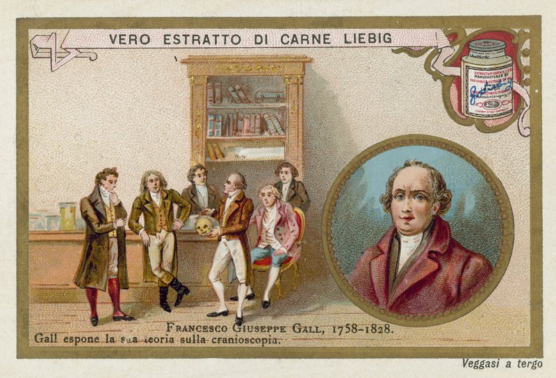 Franz Joseph Gall, tysk neuroanatom och fysiolog av European School