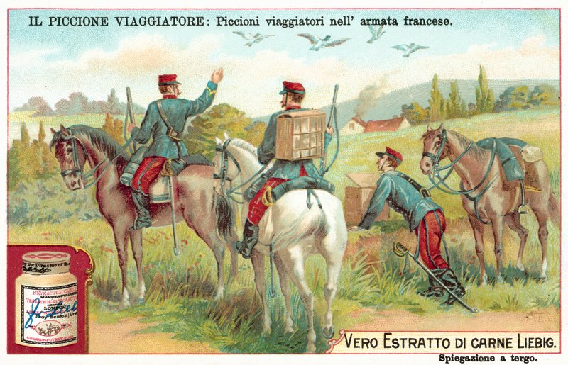 Franska arméns brevduvor (chromolitho) av European School