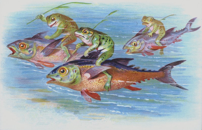 Grodor som rider på fiskar (chromolitho) av European School
