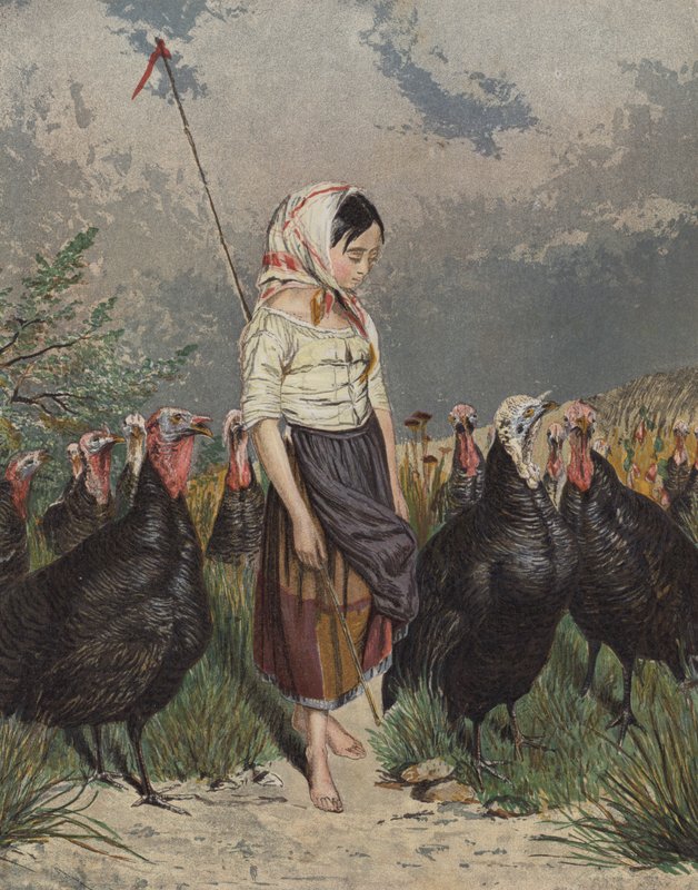 Flicka som tar hand om en flock kalkoner (färg litho) av European School