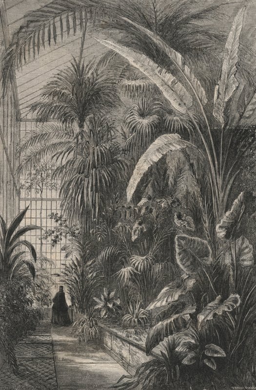 Great Greenhouse of the Museum of Paris (gravyr) av European School