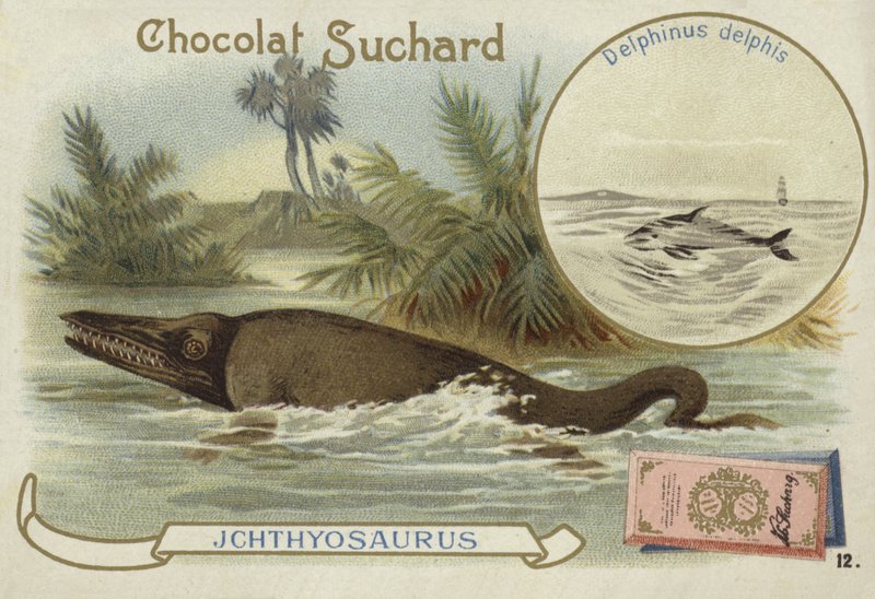 Ichthyosaur och vanlig delfin av European School