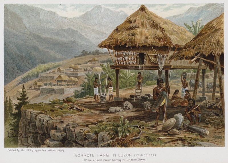 Igorrote Farm i Luzon, Filippinerna (chromolitho) av European School