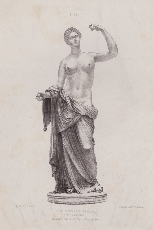 Illustration till The Anatomy of the External Forms of Man: Townley Venus, British Museum (litografi) av European School