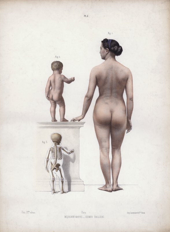 Illustration till "Anatomy of the External Forms of Man": Kvinna och barn stående, bakifrån (färglitografi) av European School